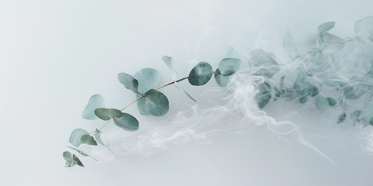 Benefits of Aromatherapy: Enhancing Physical, Mental, and Emotional Wellness
